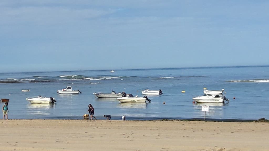 petit port de plaisance