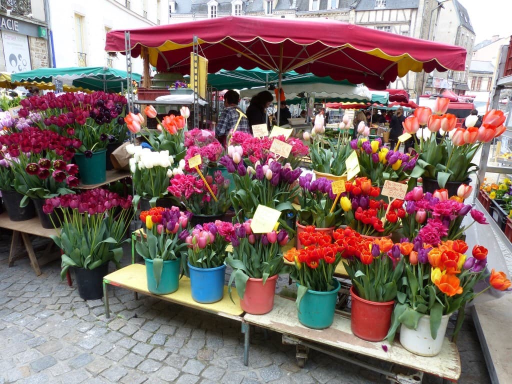 Qui veut de mes jolies tulipes? 