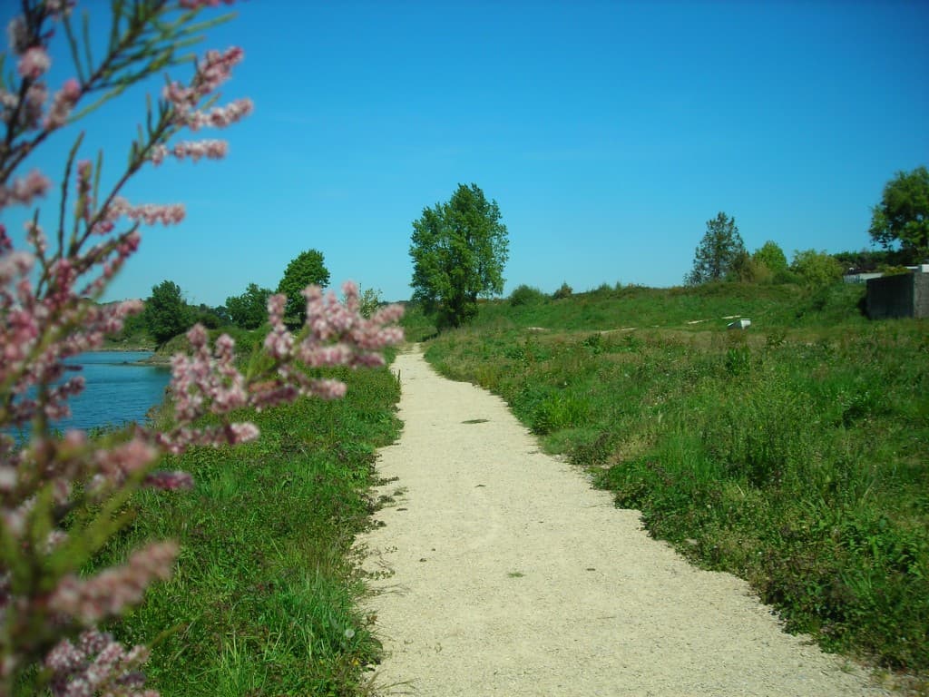 Soleil au bord du Scorff