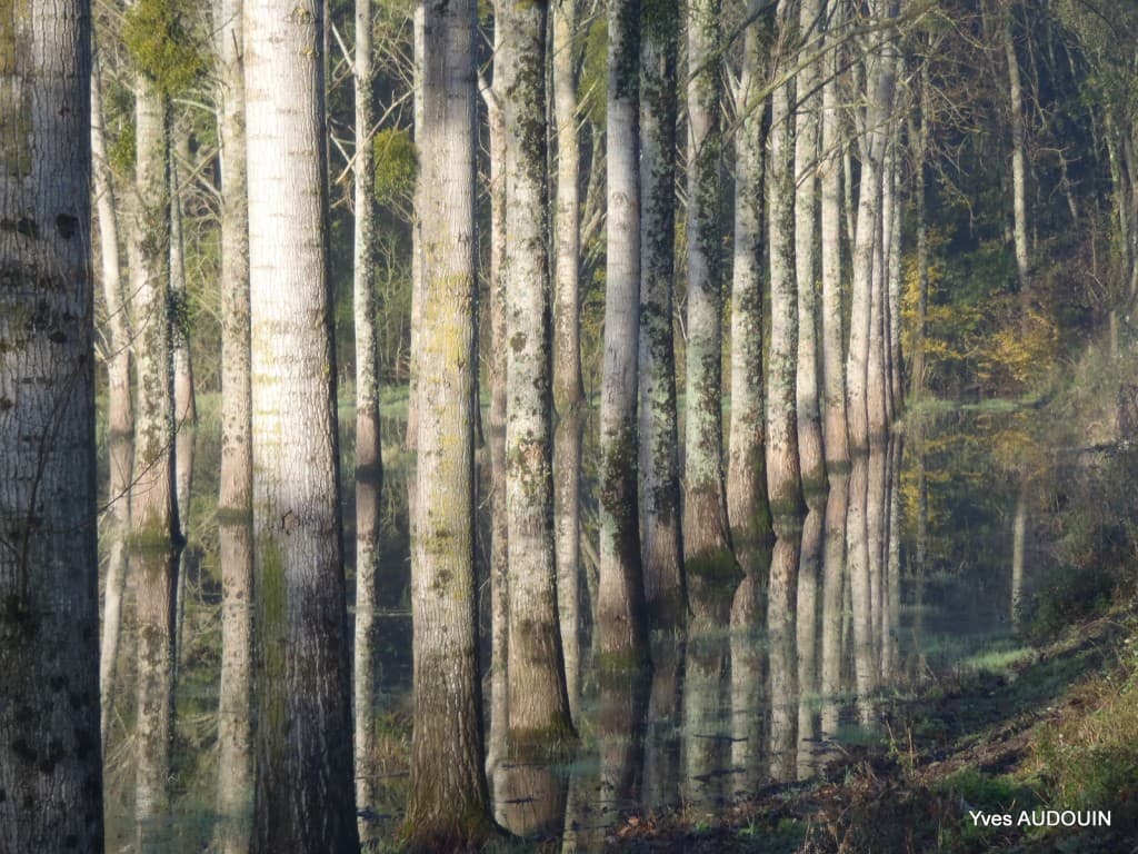 Fin de de matinée la brume disparait.