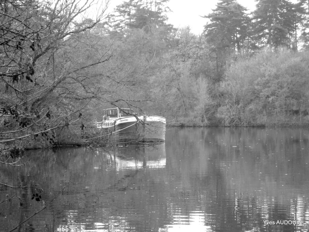 Sur les bords de l'Erdre