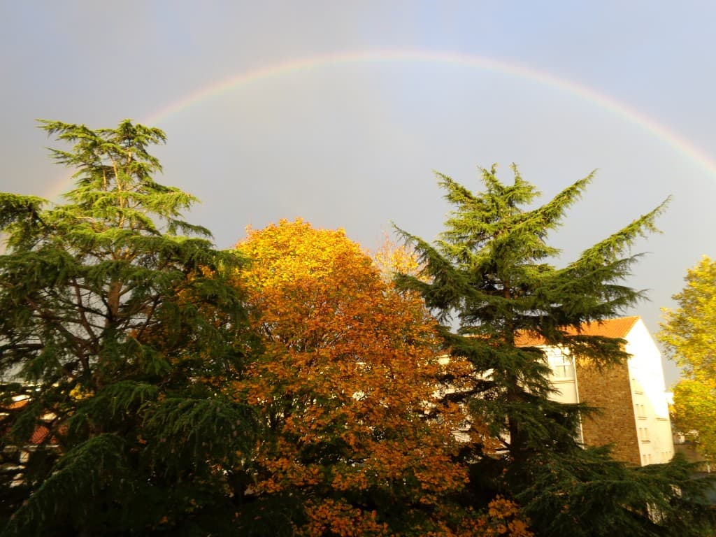 Arc en Ciel  