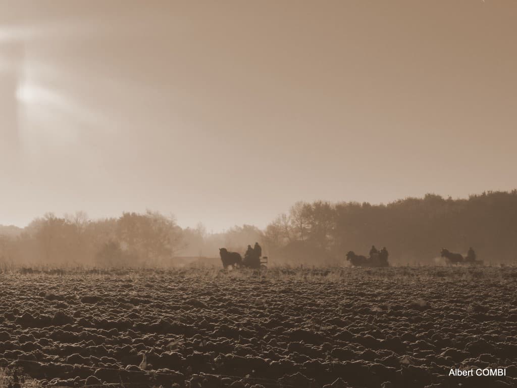 Froid sec en début de matinée