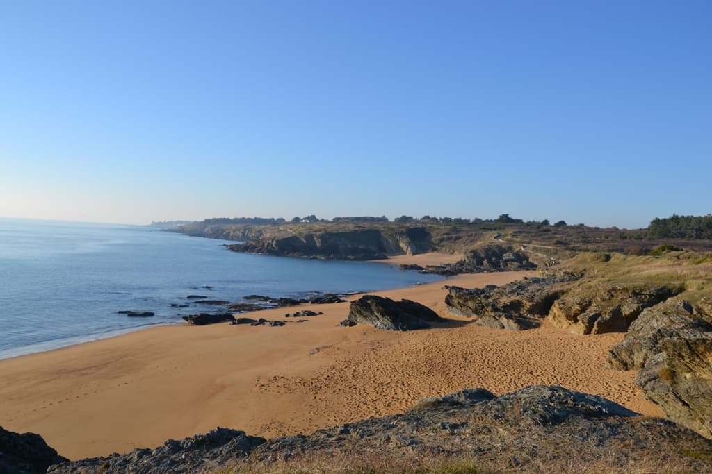 la plage de l'étang