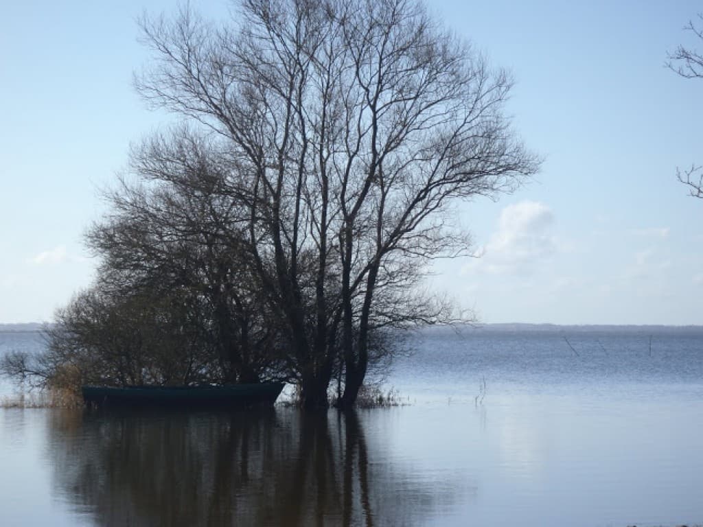 Lac de Grand Lieu