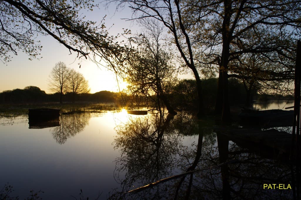 levé de soleil sur le Lac de Grand Lieu