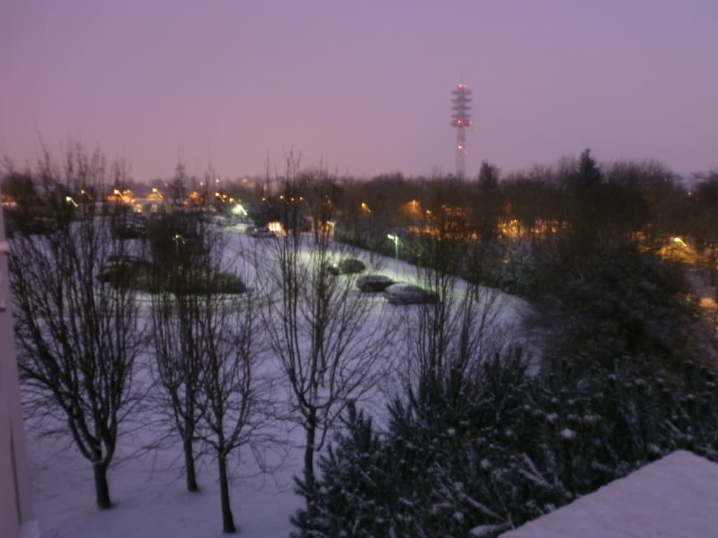 neige de matinée