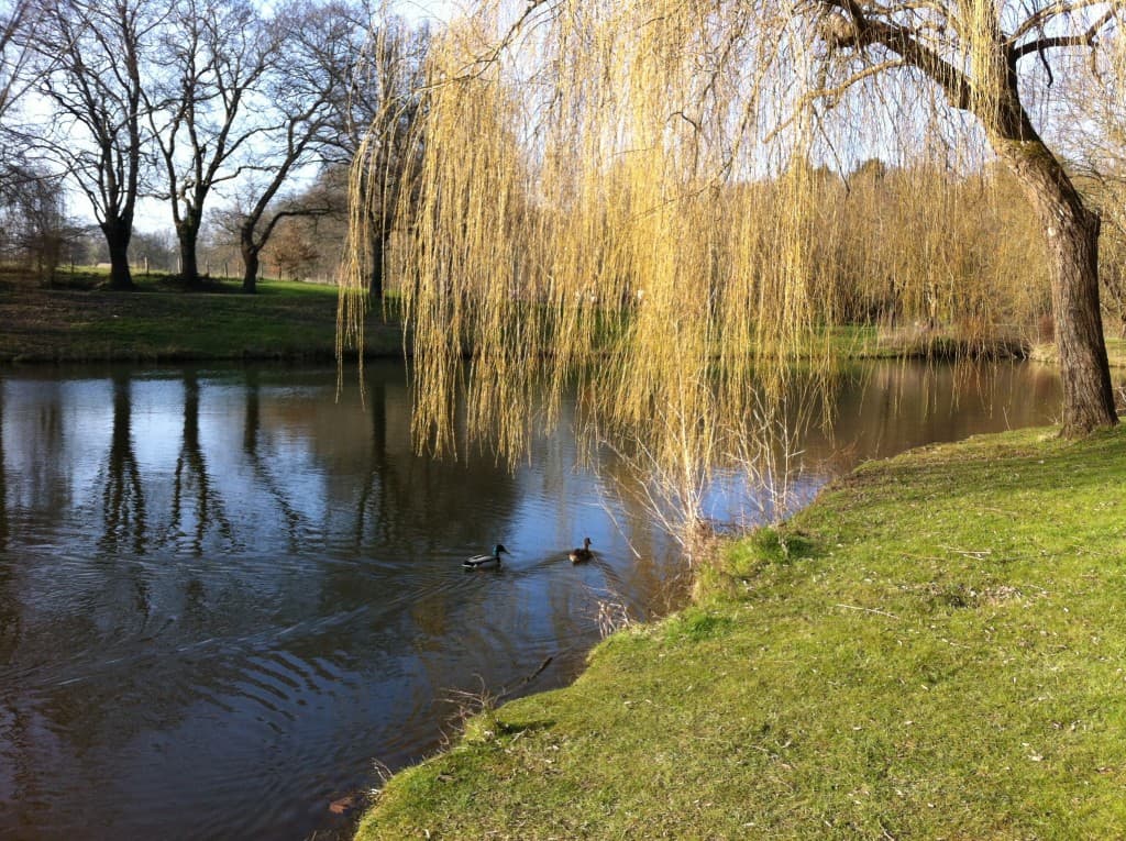Parc de Chezine