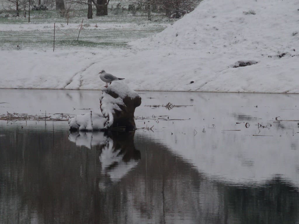 Parc du grand Blottereau