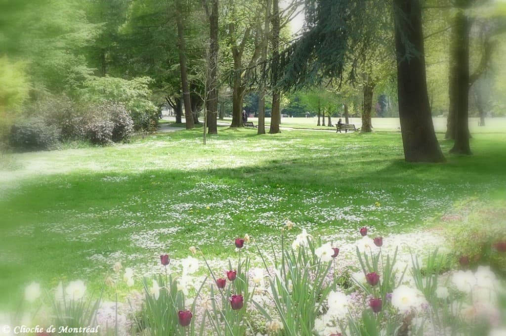 Repos - parc de Procés