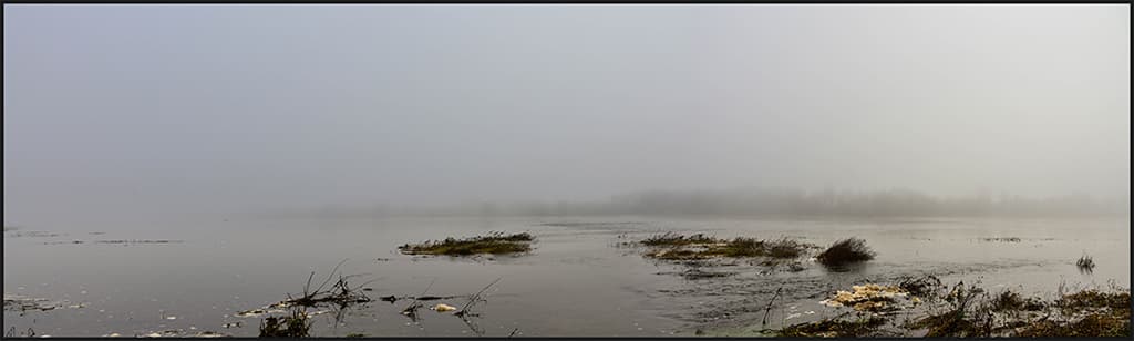 Brouillard sur la Loire