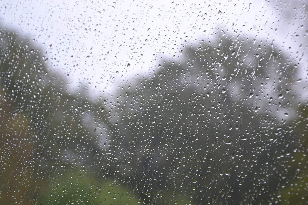 ça y est ! la pluie est revenue