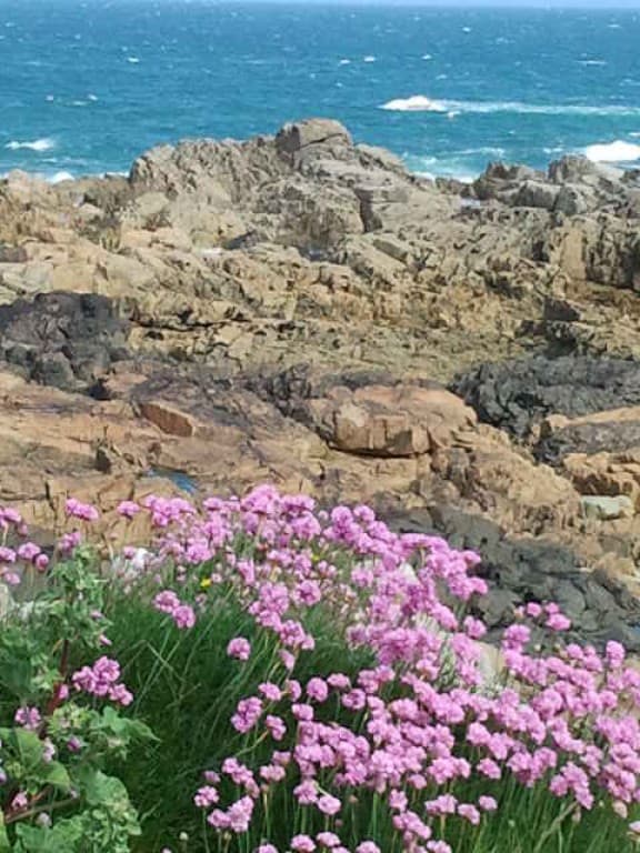 COTE D'ARMOR BRETAGNE FLOB