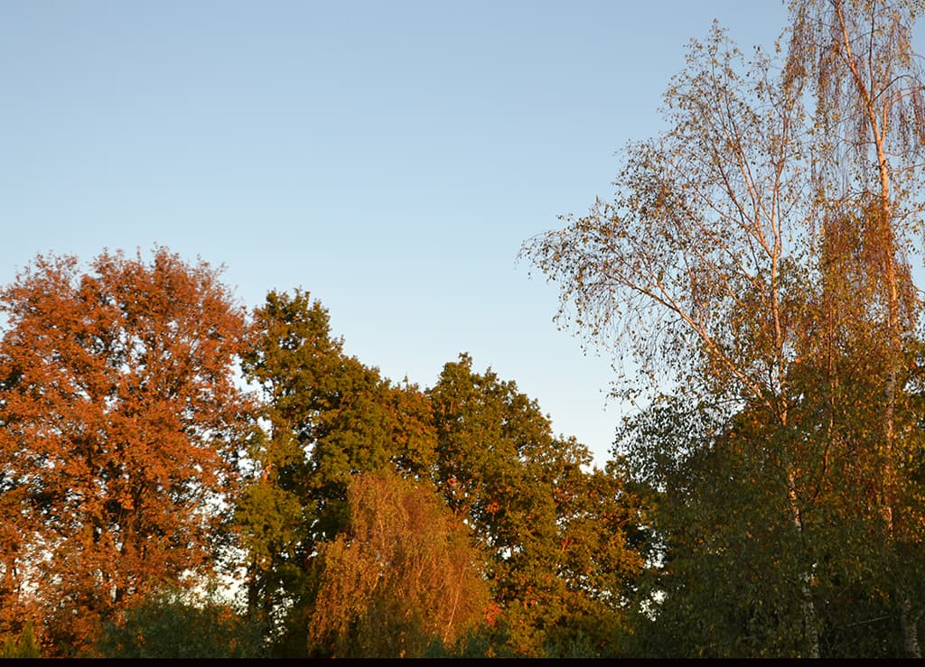 couleurs d'automne
