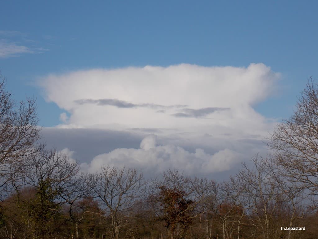 Cumulonimbus