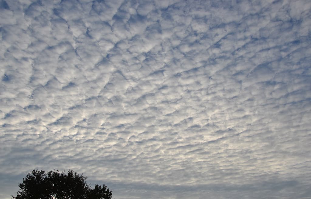 dès le matin , les nuages reviennent