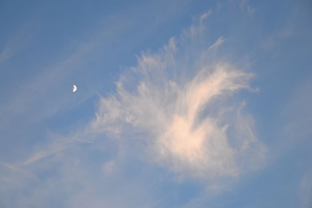 fleur de nuage