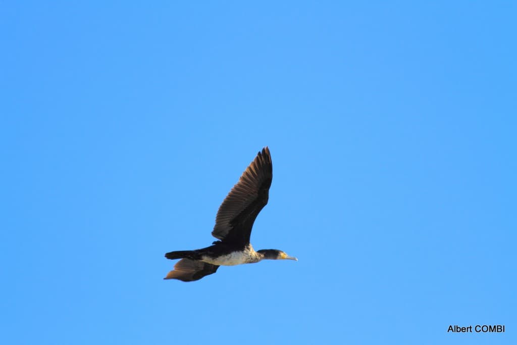 Grand ciel bleu comme annoncé