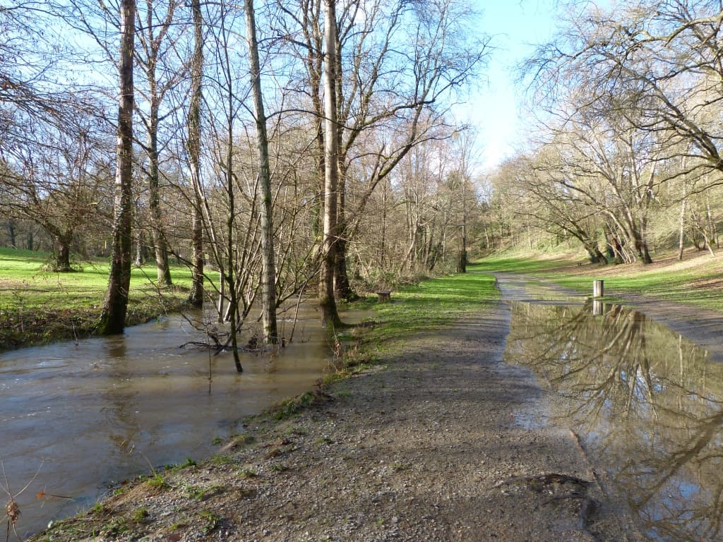 L'eau se retire au parc de Chézine