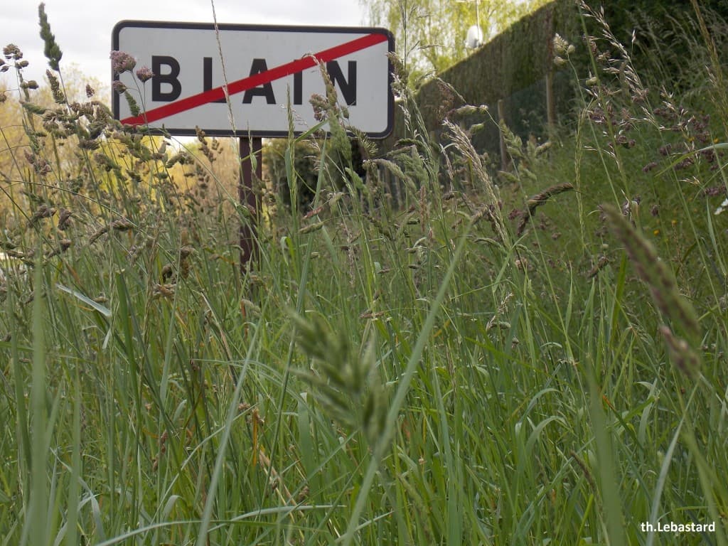 L'herbe est haute pour un 13 avril
