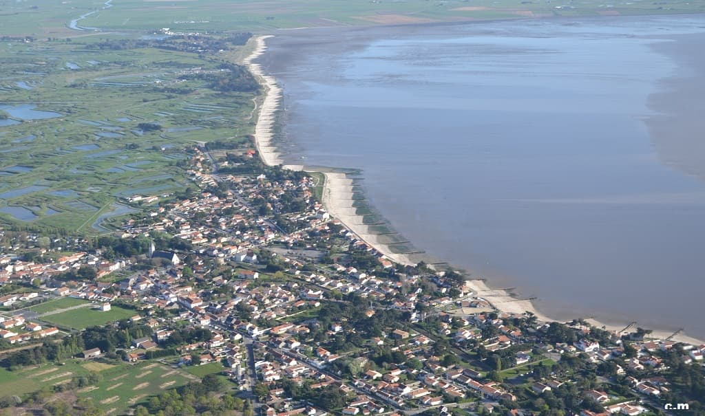 la baie de Bourgneuf , les épis