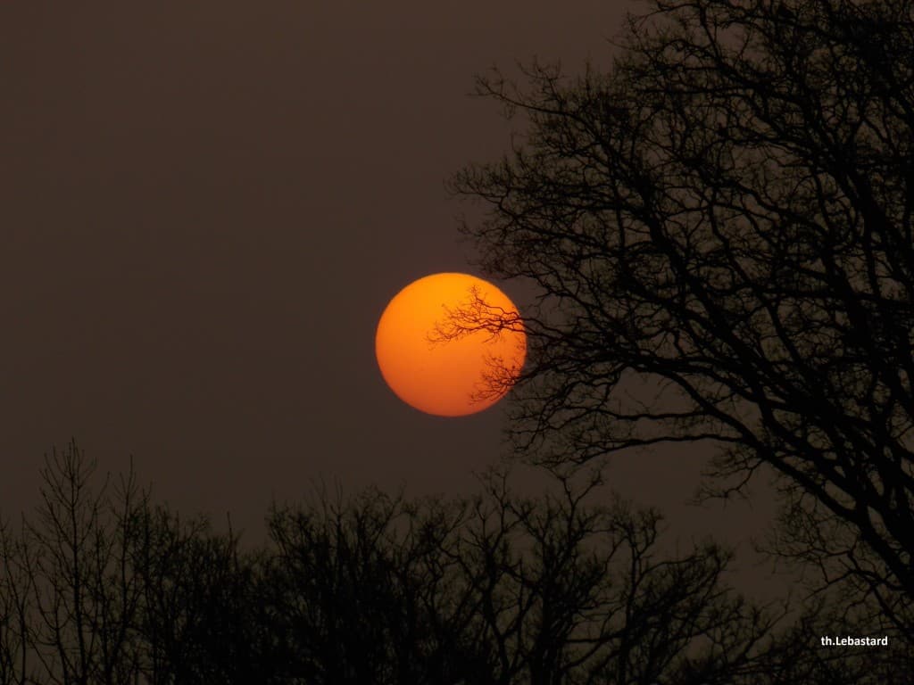 Lever de soleil dans la brume.