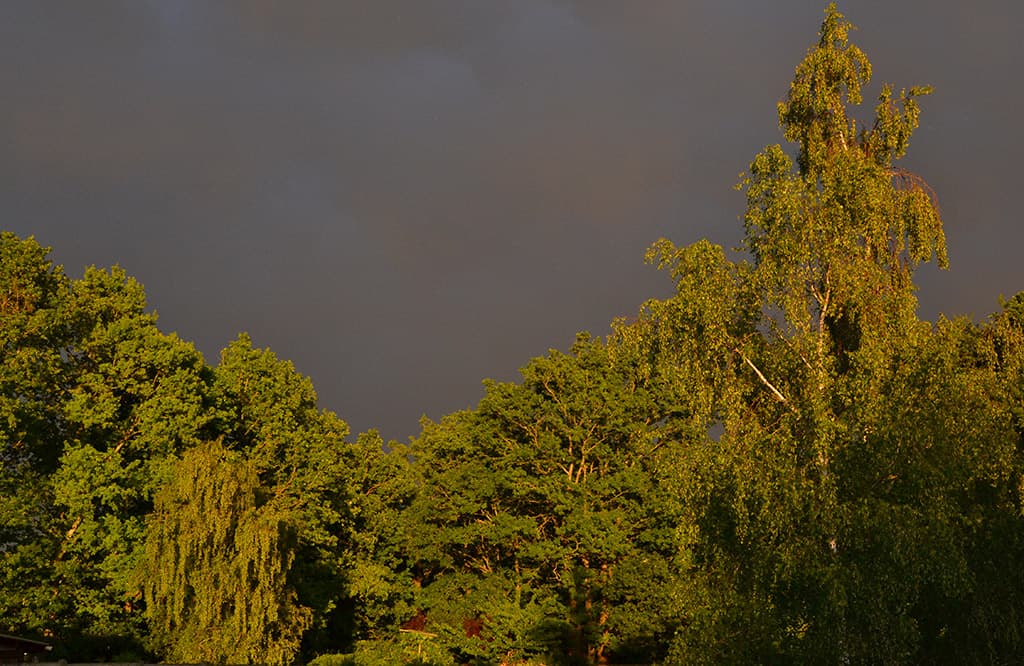 orage à l'est , soleil à l'ouest
