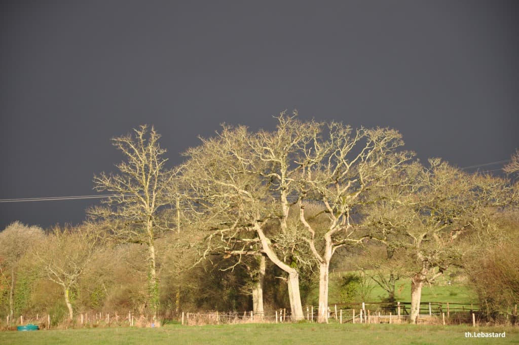 Soleil et ciel noir