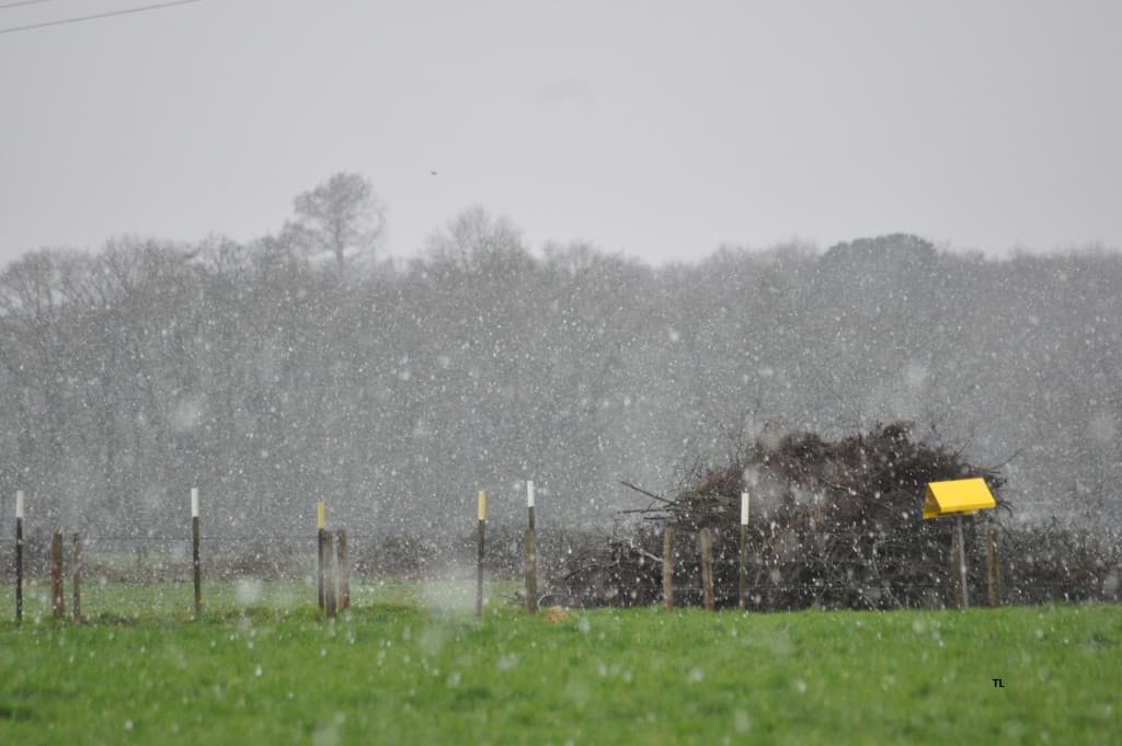 Averse de neige !