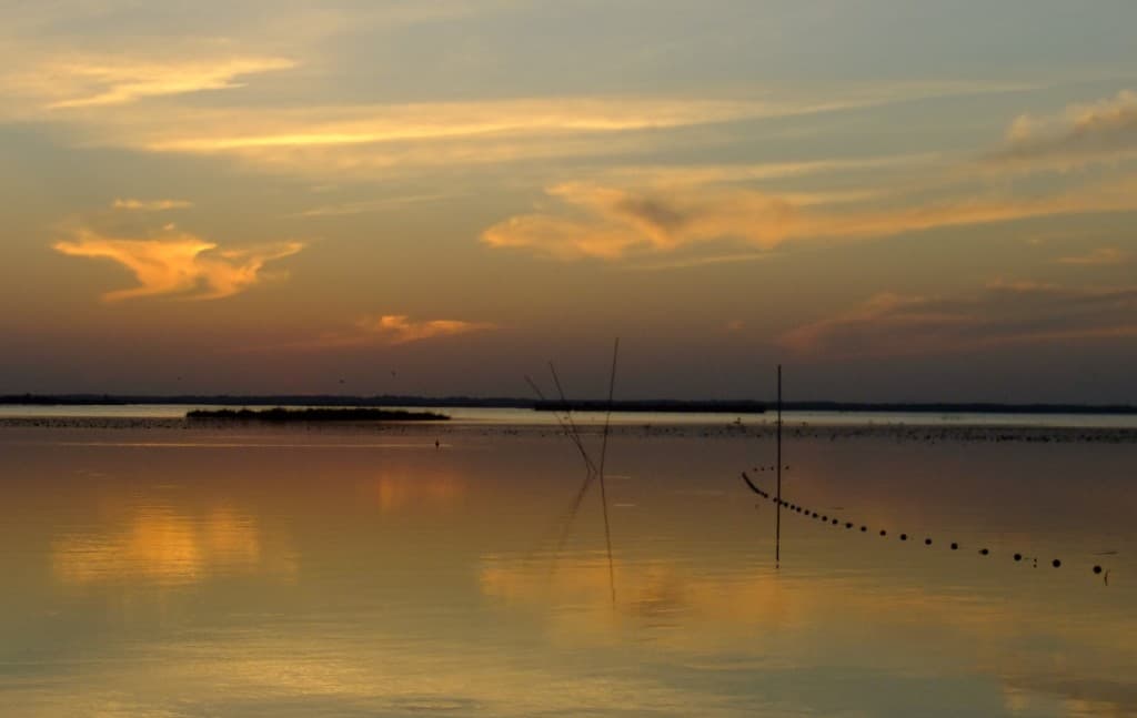 Lac de Grand-Lieu