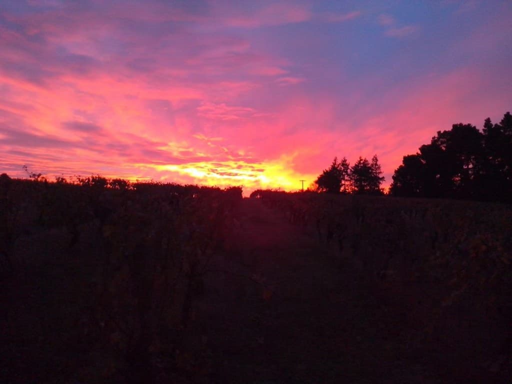 lever de soleil au pallet