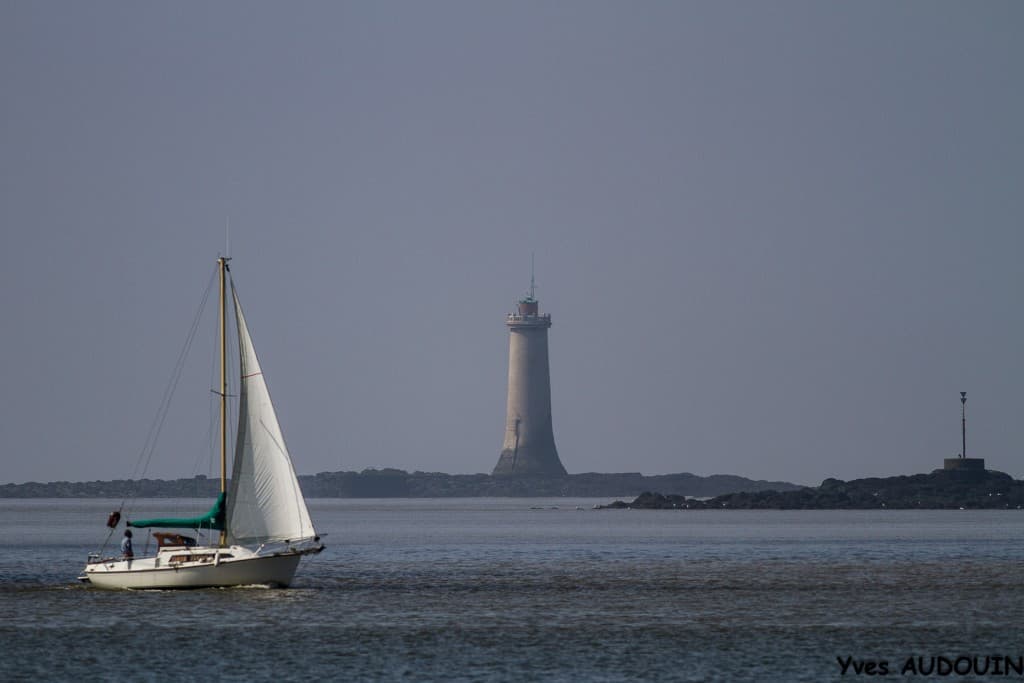 Brume matinale