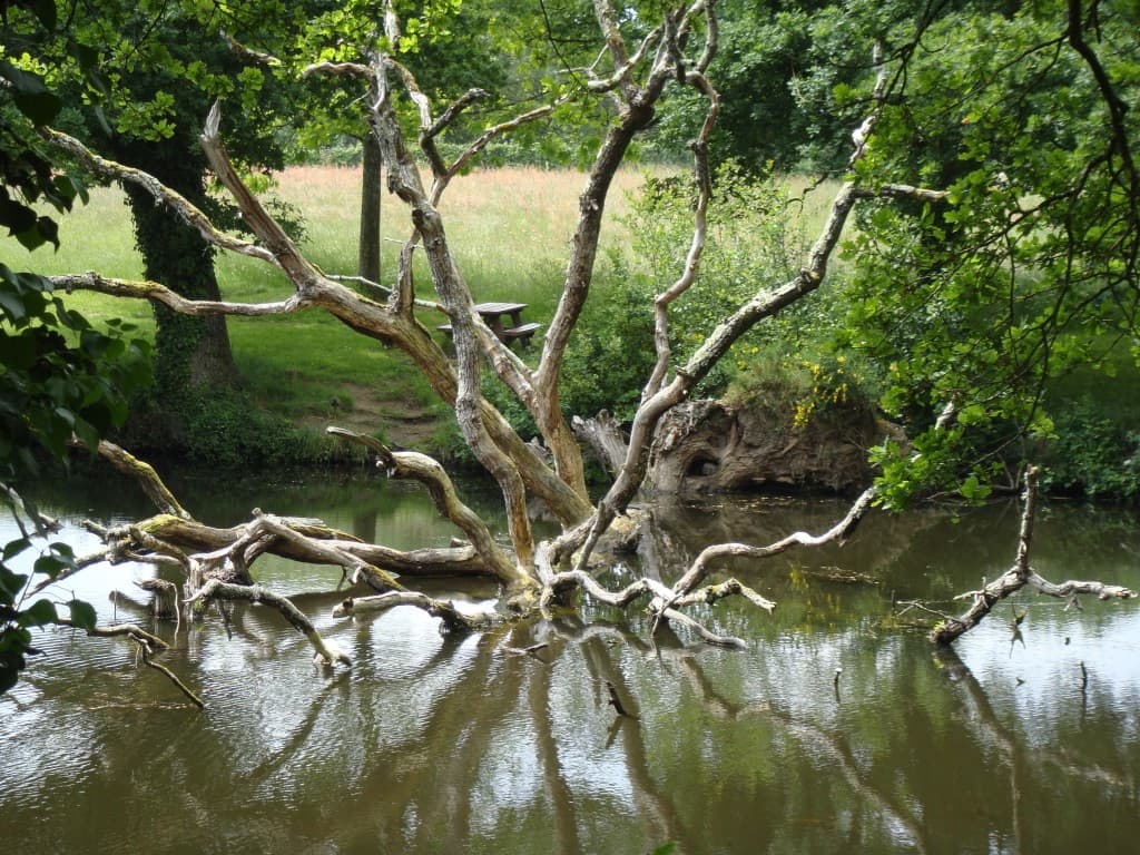 La Gournerie
