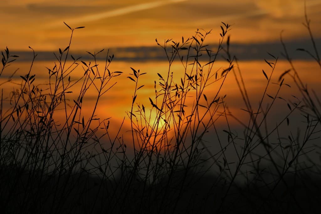 LA LOIRE COUCHER DE SOLEIL