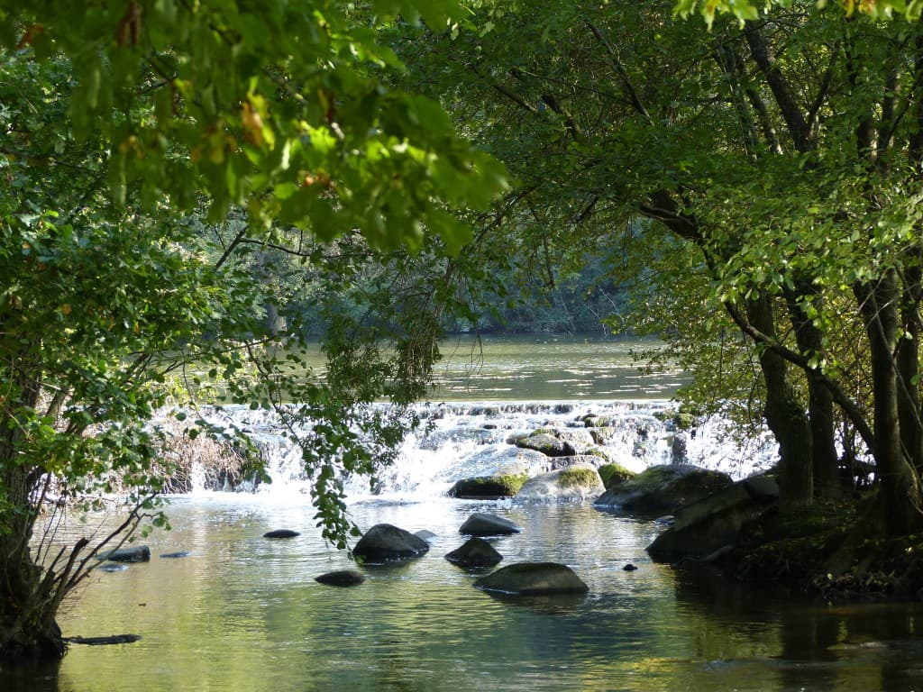 La Sèvre Nantaise