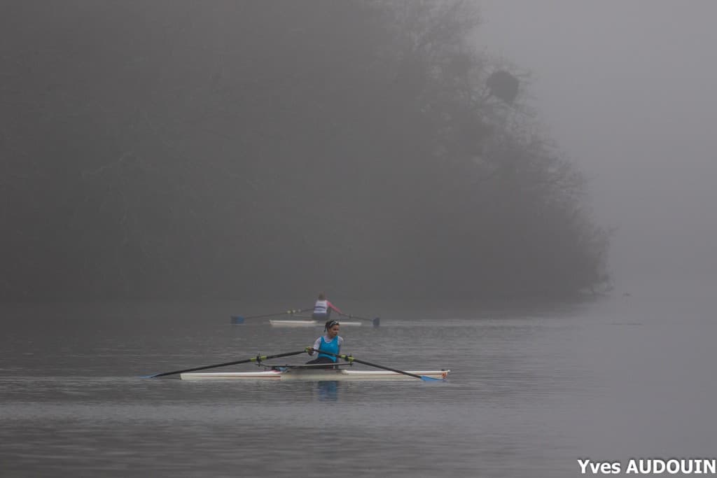 Brume matinale
