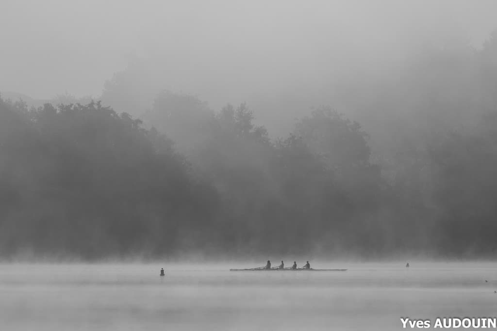 Brume matinale