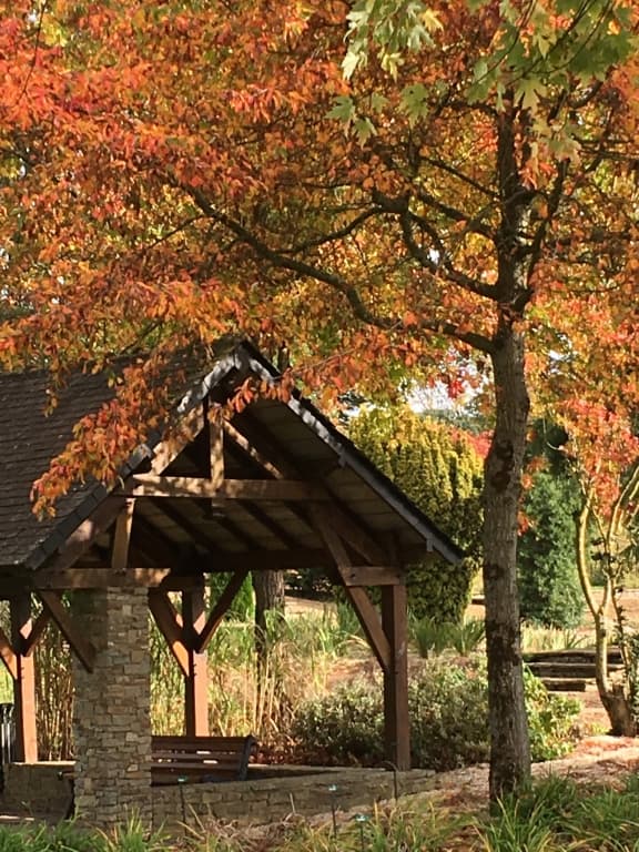 couleurs d'automne 