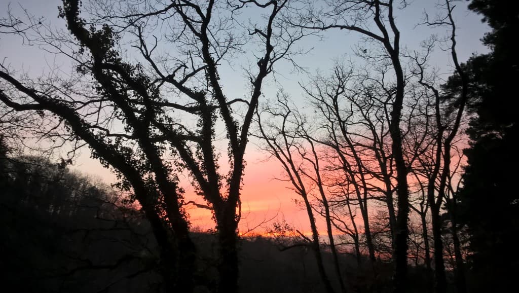 Crépuscule rosé