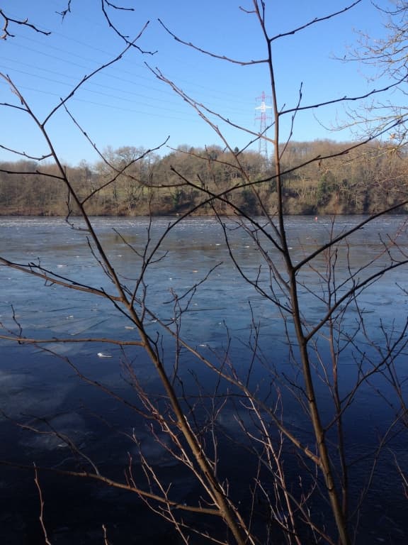 la banquise de l'Erdre !