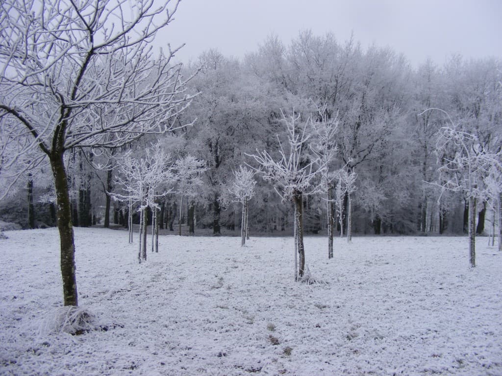 La Beaujoire