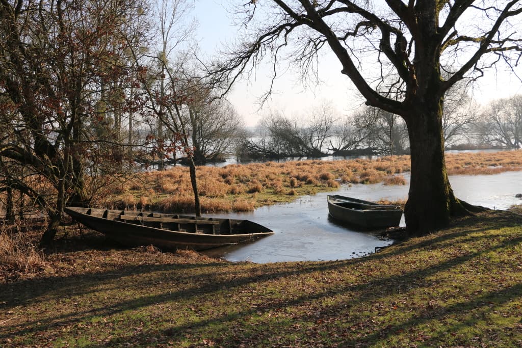 Marais de Goulaine