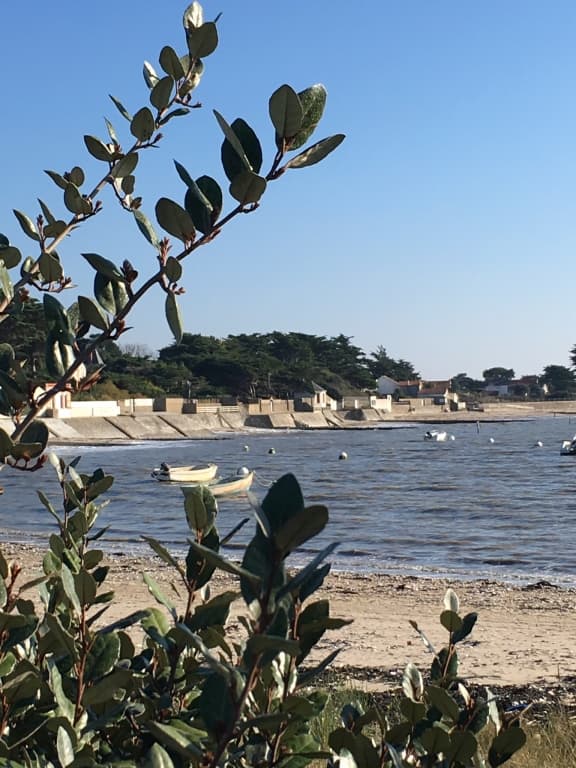 Beau temps 