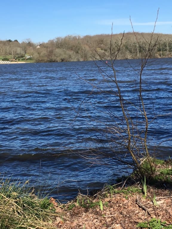 vagues sous le vent du Nord 