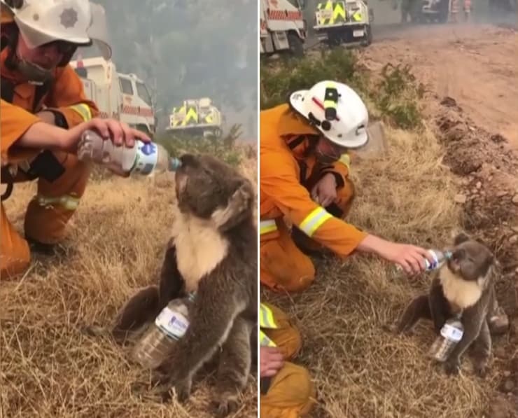 Image d'illustration pour L'Australie en proie à des incendies violents et hors de contrôle