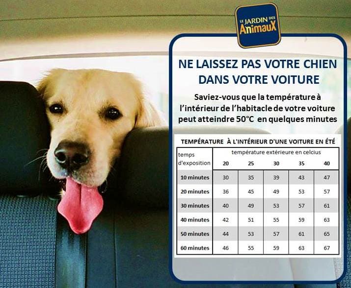 Image d'illustration pour Voiture au soleil : un piège mortel pour l'enfant et l'animal