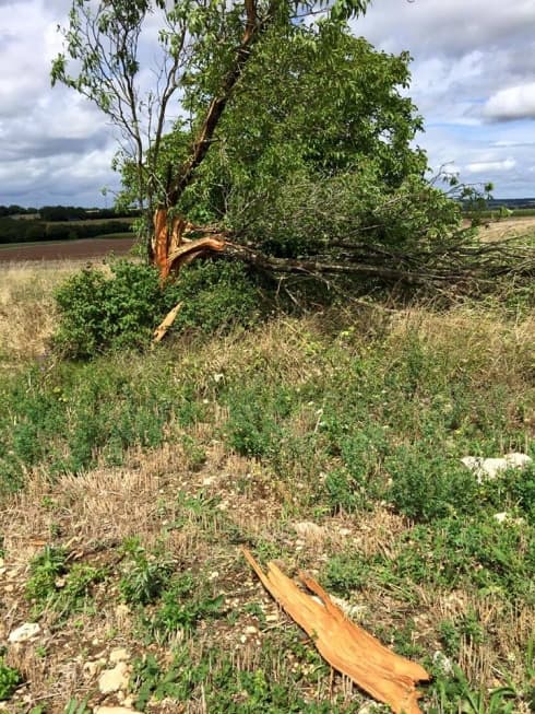 Image d'illustration pour Bilan des orages diluviens et meurtriers du 21 au 24 août