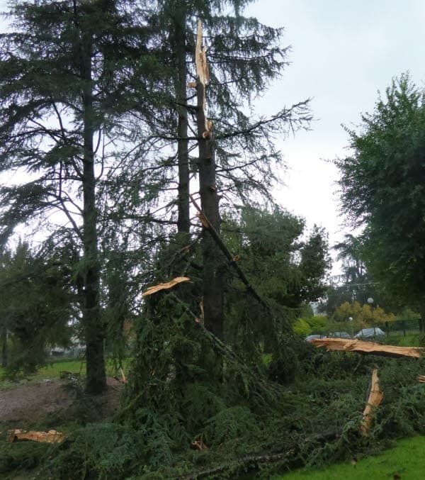 Image d'illustration pour Dépression Rolf : Orage, forte pluie et violents phénomènes venteux