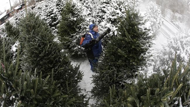 Image d'illustration pour Froid, neige et verglas aux Etats Unis