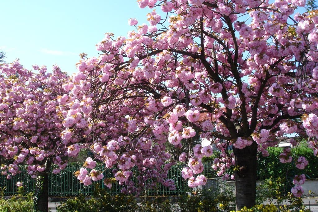 Image d'illustration pour Un jeudi estival avec des températures proches des records